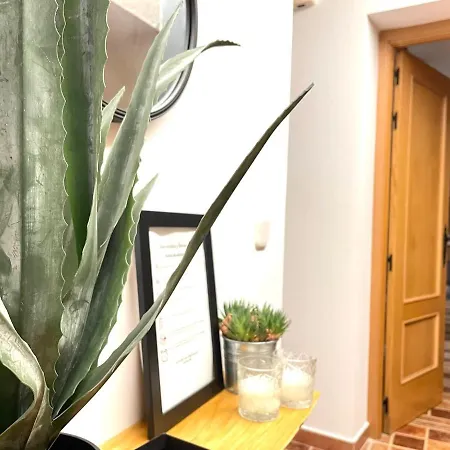 Appartement Retama *